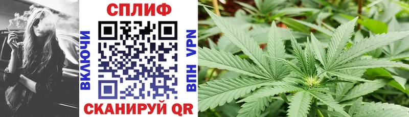 закладки  KRAKEN ТОР  МАРИХУАНА LSD WEED  darknet Telegram  Александров 